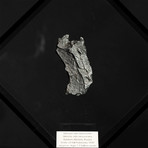 Sikhote Alin Meteorite // Siberia // Black Acrylic Display // Ver. 3