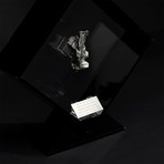 Sikhote Alin Meteorite // Siberia // Black Acrylic Display // Ver. 5