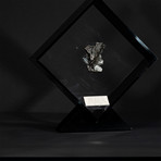 Sikhote Alin Meteorite // Siberia // Black Acrylic Display // Ver. 5