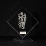 Seymchan Olivine Meteorite // Magadanskaya Oblast // Transparent Acrylic Display // Ver. 3