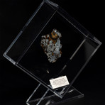 Seymchan Olivine Meteorite // Magadanskaya Oblast // Transparent Acrylic Display // Ver. 2