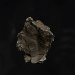 Sikhote Alin Meteorite // Siberia // Transparent Acrylic Display // Ver. 4