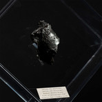 Sikhote Alin Meteorite // Siberia // Transparent Acrylic Display // Ver. 5
