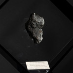 Sikhote Alin Meteorite // Siberia // Black Acrylic Display // Ver. 4
