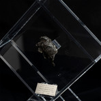 Sikhote Alin Meteorite // Siberia // Transparent Acrylic Display // Ver. 5