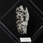 Seymchan Olivine Meteorite // Magadanskaya Oblast // Transparent Acrylic Display // Ver. 3