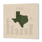 Texas Parks (16"W x 24"H x 1.5"D)