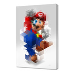 Super Mario (24"H x 16"W x 1.5"D)