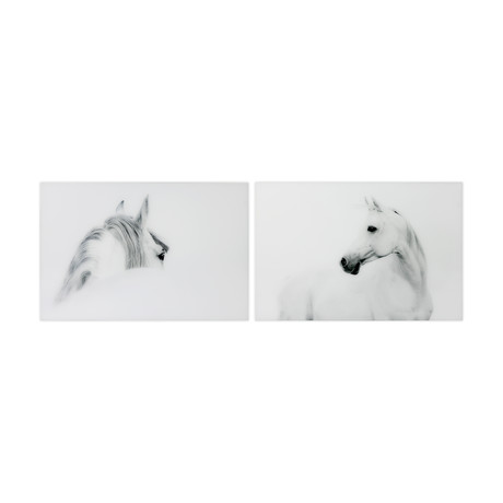 Blanco Mare & Stallion Horse // Frameless Printed Tempered Art Glass (Blanco Mare Only)