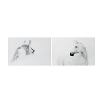 Blanco Mare & Stallion Horse // Frameless Printed Tempered Art Glass (Blanco Mare & Stallion Horse)