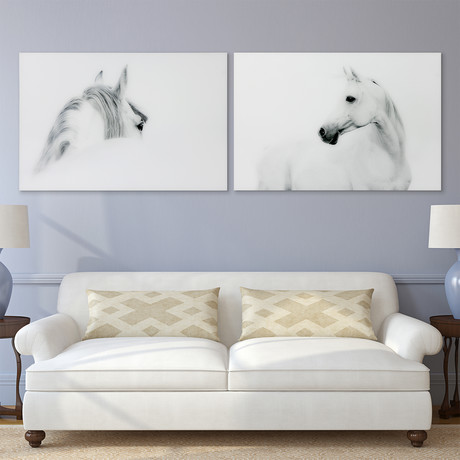 Blanco Mare & Stallion Horse // Frameless Reverse Printed Tempered Art Glass (Blanco Mare Only)