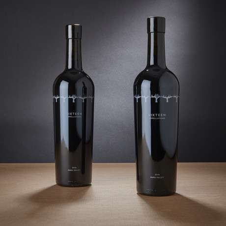Italics Sixteen Appellations Napa Valley Red Blend // Set of 2 // 750 ml Each