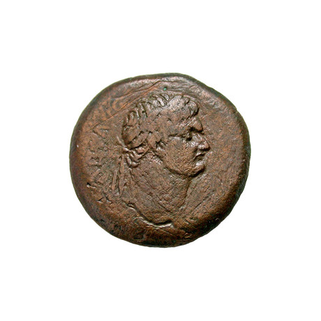 Large Roman Coin of Domitian // 81-96 AD