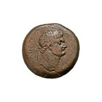 Large Roman Coin of Domitian // 81-96 AD