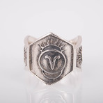 Aries Ring V2 (10.5)