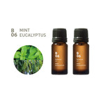 Essential Oil // Set of 2 // B06 Mint Eucalyptus