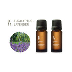 Essential Oil // Set of 2 // B11 Eucalyptus Lavender