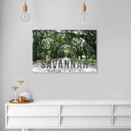Savannah Landscape (16.0"H x 24.0"W x 1.5"D)