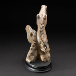 Polished Picasso Jasper Hand Carved Horses + Wooden Display Stand