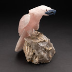 Large Polished Hand Carved Rose Quartz Parrot + Smokey Quartz Matrix