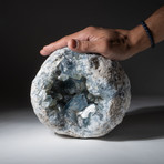 Blue Celestite Geode v.1