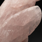 Large Polished Hand Carved Rose Quartz Parrot + Smokey Quartz Matrix