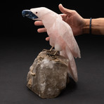 Large Polished Hand Carved Rose Quartz Parrot + Smokey Quartz Matrix