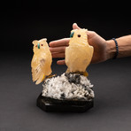 Polished Hand Carved Orange Calcite Wise Owls + Quartz Crystal Matrix