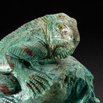 Polished Hand Carved Chrysocolla Iguana