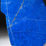 Polished Lapis Lazuli Freeform v.2