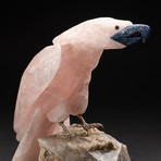 Large Polished Hand Carved Rose Quartz Parrot + Smokey Quartz Matrix