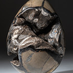 Septarian Druzy Egg