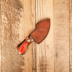 Multicolor Gut Hook Skinner