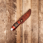 Saw Back // Stainless 440C Hunter