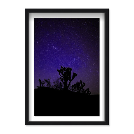 Starry Night Joshua (25.5"H x 17.5"W x 1.0"D)