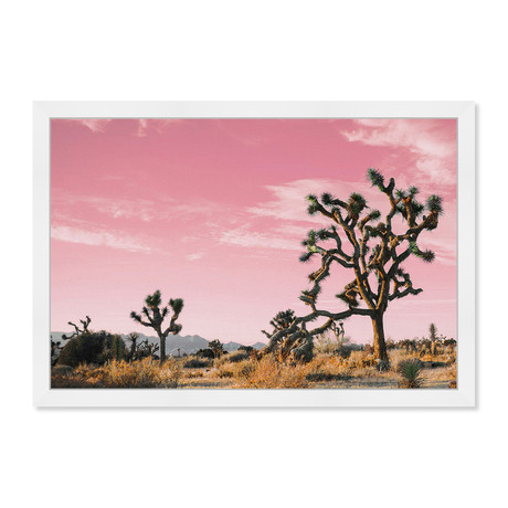 Joshua Tree Pink II (26.0"H x 18.0"W x 0.5"D)