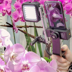 Scout Universal Smartphone Video Rig Kit