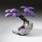 The Protection Tree // Custom Amethyst Tree + Amethyst Matrix // V7