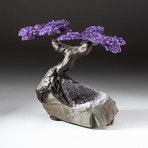 The Protection Tree // Custom Amethyst Tree + Amethyst Matrix // V7