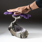 The Protection Tree // Custom Amethyst Tree + Amethyst Matrix // V7