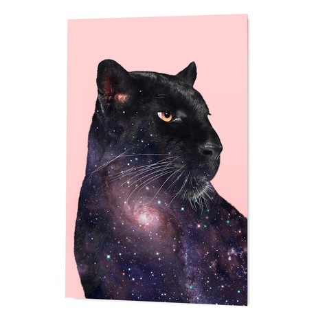 GALAXY PANTHER (16"W x 20"H x 1.5"D)