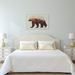 Bjorn // Andreas Lie