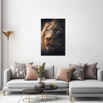 Lion // Zenja Gammer