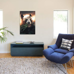 Panda Bird // Zenja Gammer