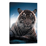 Tiger Moon // Zenja Gammer