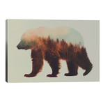 Bjorn // Andreas Lie