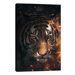 Tiger Sparkles // Zenja Gammer