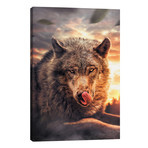 Wolf // Zenja Gammer