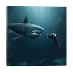 Shark Meets Diver // Zenja Gammer