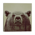 Bear II // Andreas Lie (26"W x 26"H x 1.5"D)